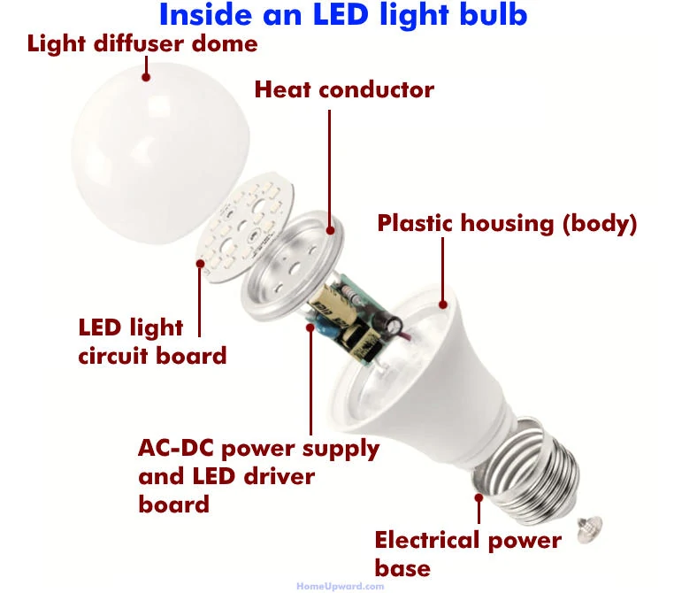 Illustrated diagram showing what is inside an LED light bulb
