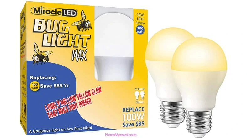 LED bug light bulbs example