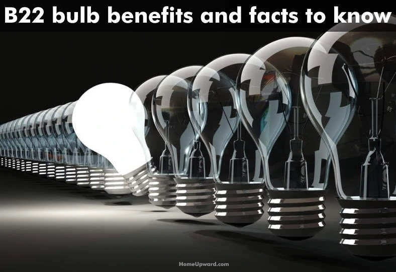 B22 bulb facts and benefits to know image