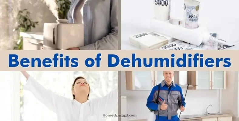 benefits of dehumidifiers