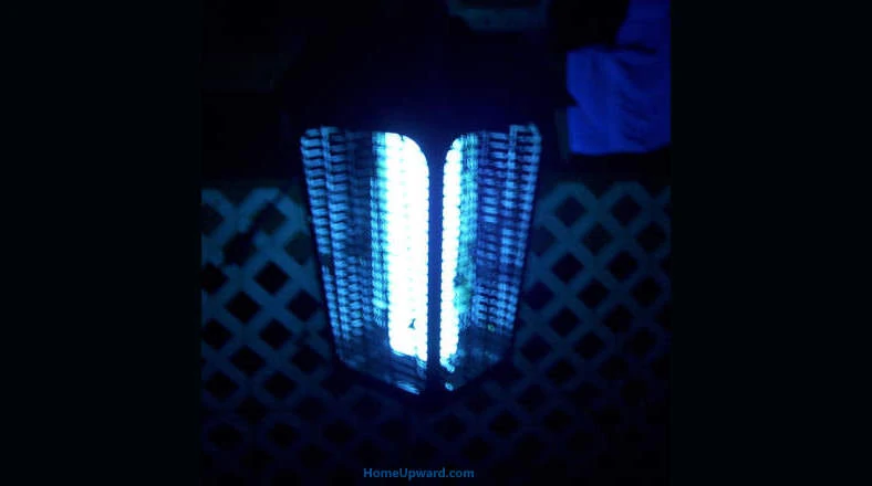 Bug zapper light at night example