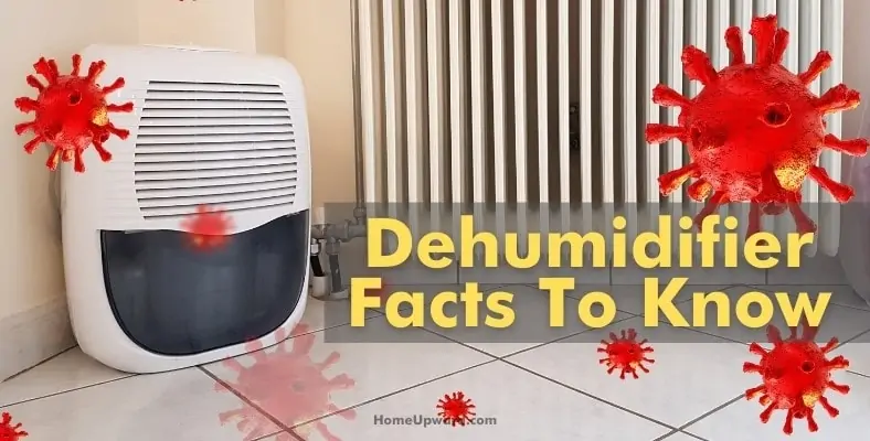 dehumidifier facts to know