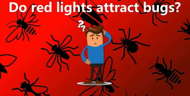 Do red lights attract bulbs man thinking