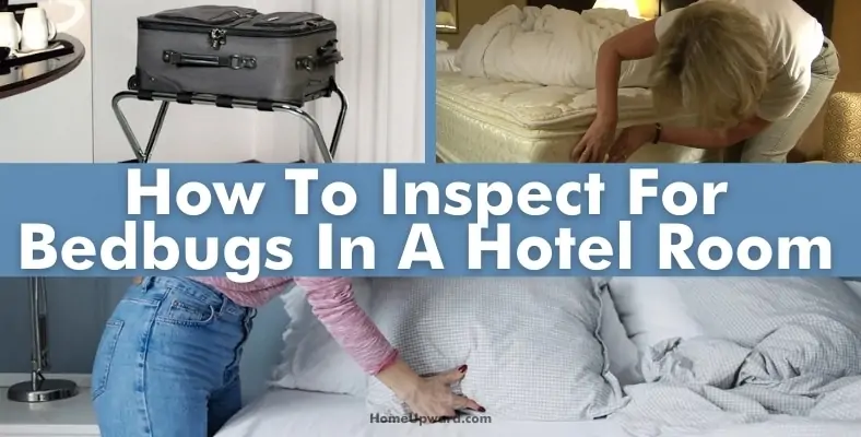 how to inspect for bedbugs in a hotel room