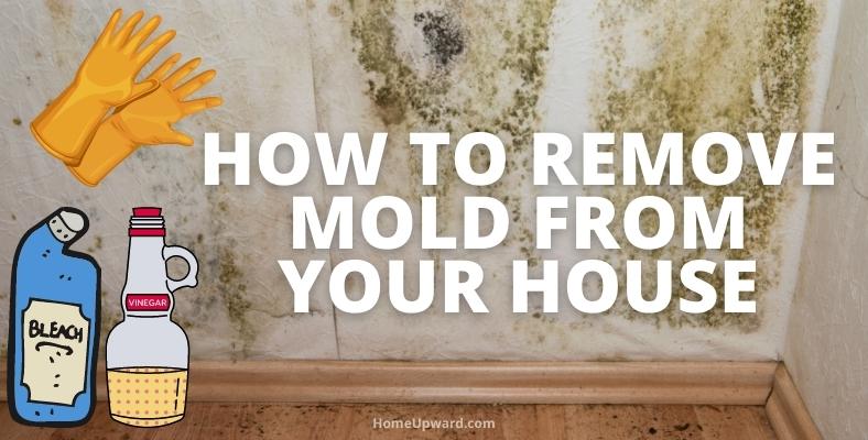 how to remove mold from your house