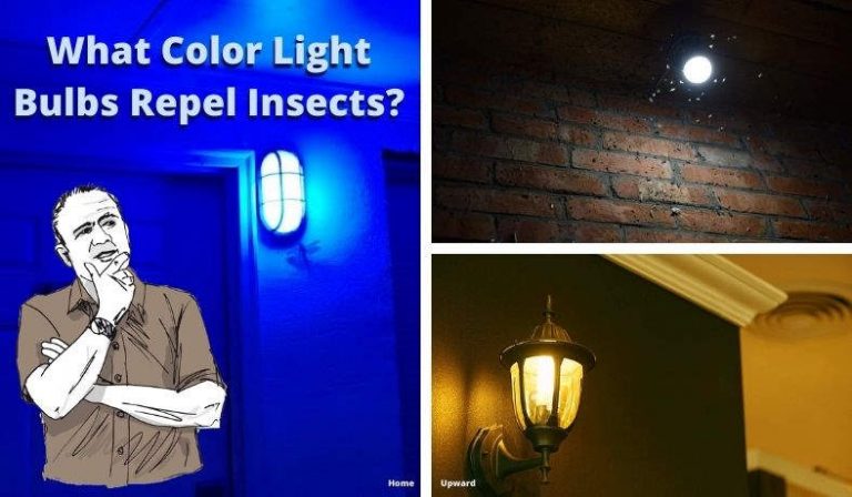 Bulb Insects What Color Light Bulb Repels Insects? Bulb Color And Bug Facts