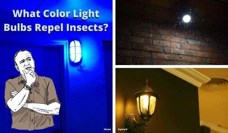 What color light bulb repels insects featured image