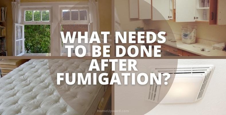 what needs to be done after fumigation