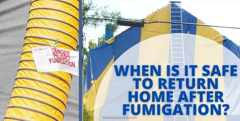 when is it safe to return home after fumigation
