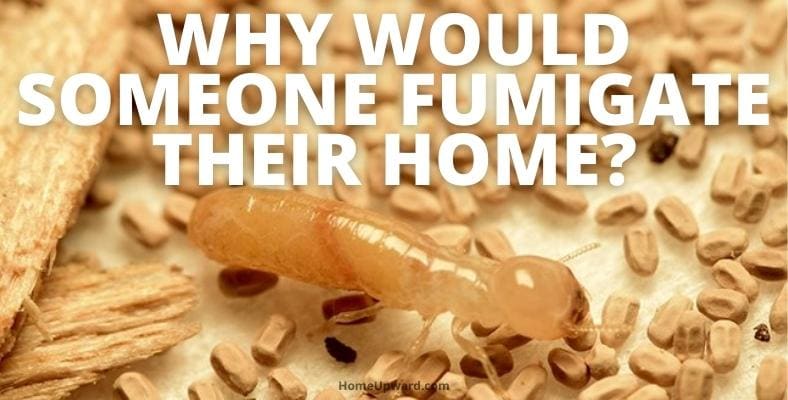 why would someone fumigate their home