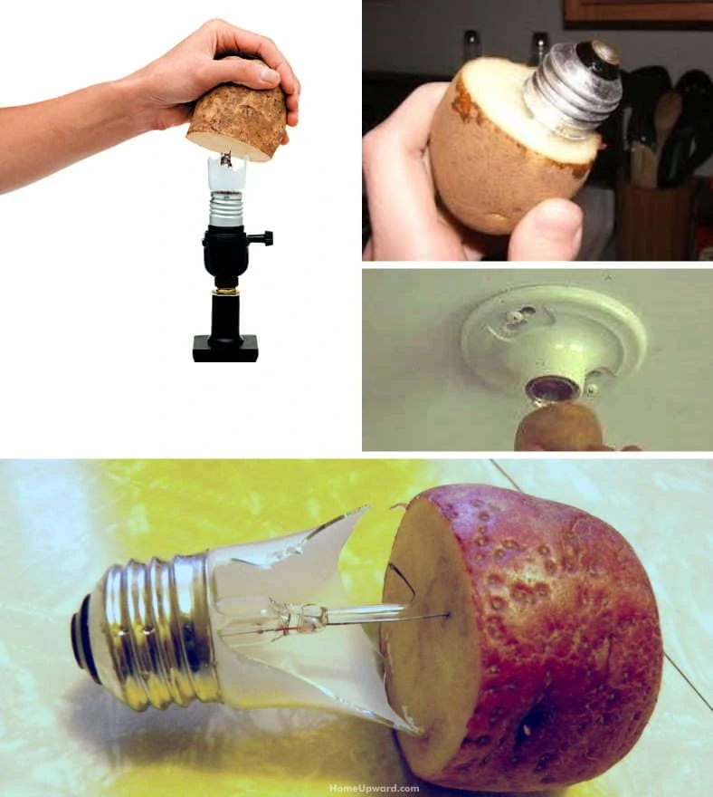 Using a potato to remove broken light bulb from fixture examples