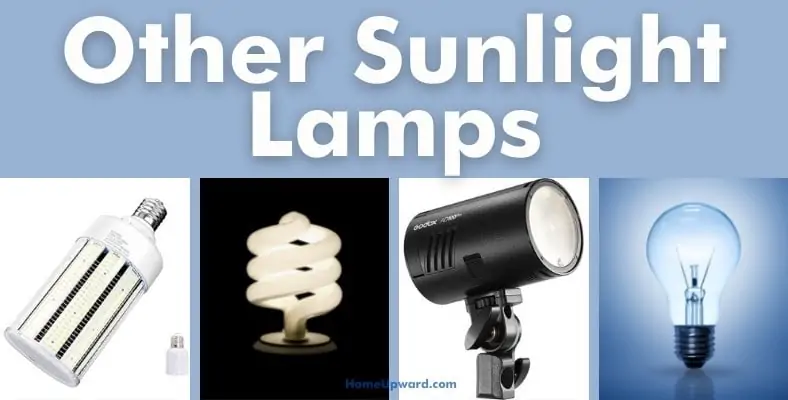 other sunlight lamps