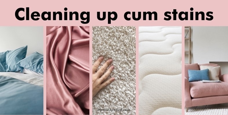 cleaning up cum stains