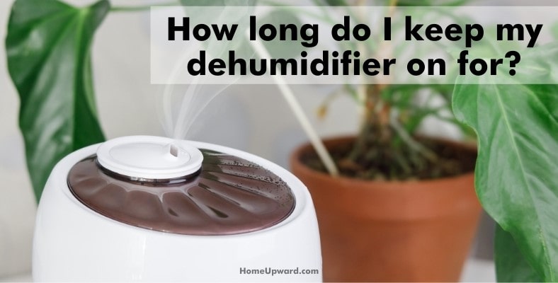 how long do i keep my dehumidifier on for