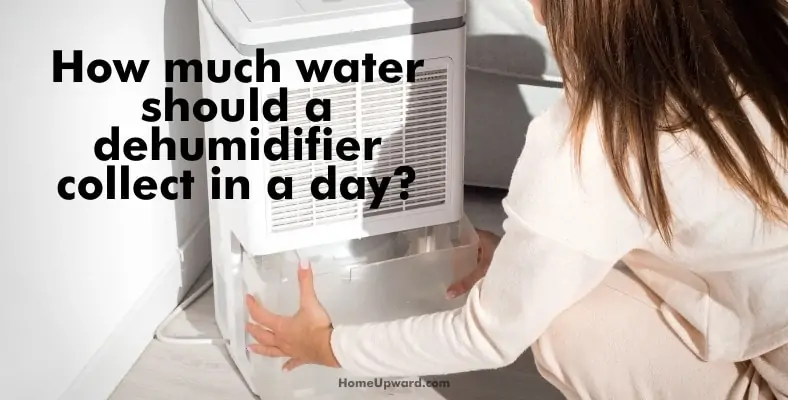 how much water should a dehumidifier collect in a day