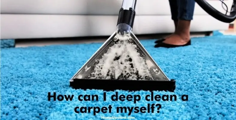 how can i deep clean a carpet myself