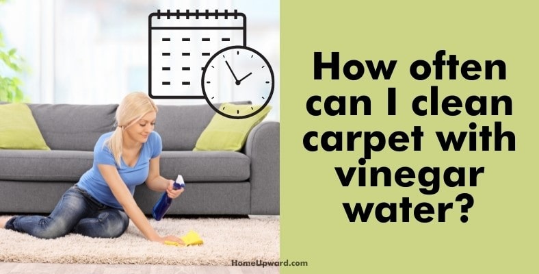 how often can i clean carpet with vinegar water