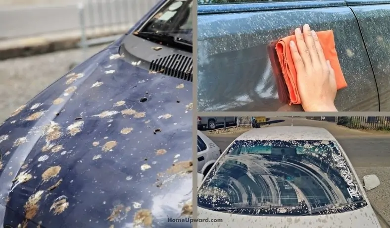 how to remove cement stains from a car featured image