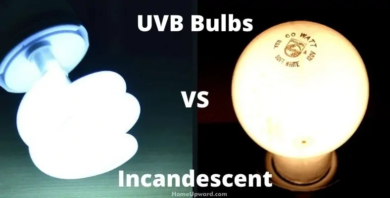 uvb bulbs versus incandescent differences