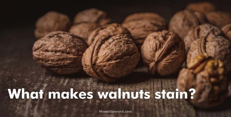 what makes walnuts stain