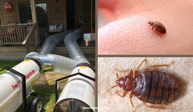 will heat treatment for bed bugs damage my home featured image
