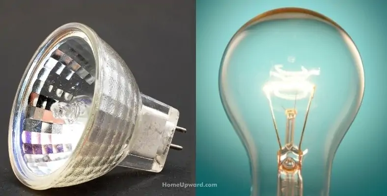do halogen lamps consume more electricity than a regular light bulb lamp