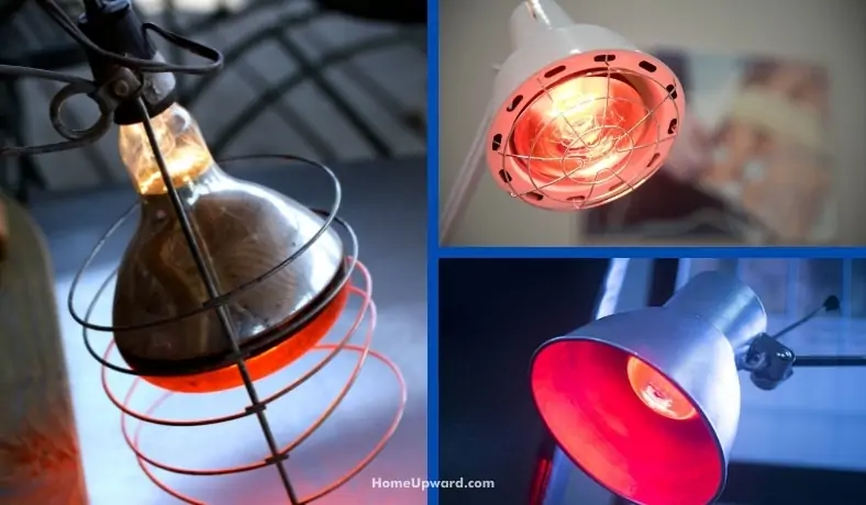 how much energy does a heat lamp use featured image