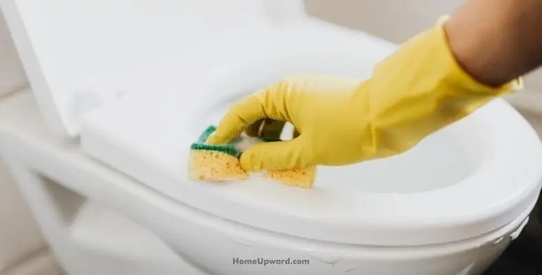 can urine damage a toilet