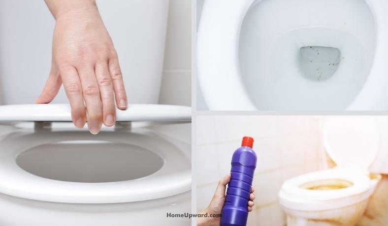 how to clean urine stains from a toilet bowl featured image