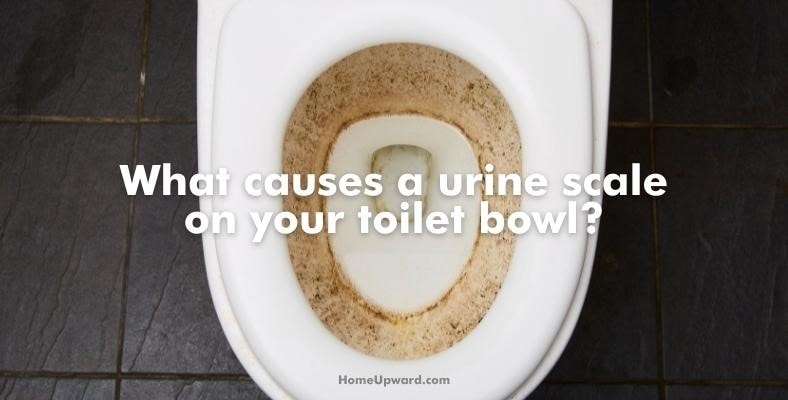what causes a urine scale on your toilet bowl