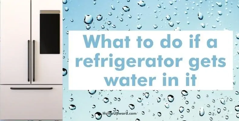 what to do if a refrigerator gets water in it