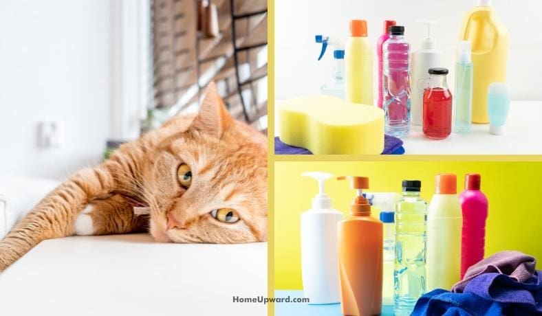 10 safe cleaners for homes with cats featured image