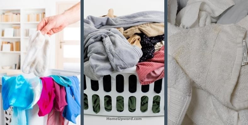 can you wash and dry socks, underwear, and towels together