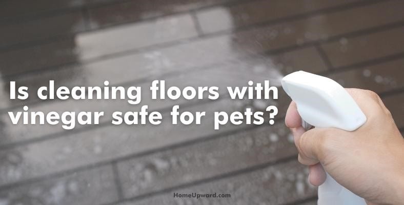is cleaning floors with vinegar safe for pets