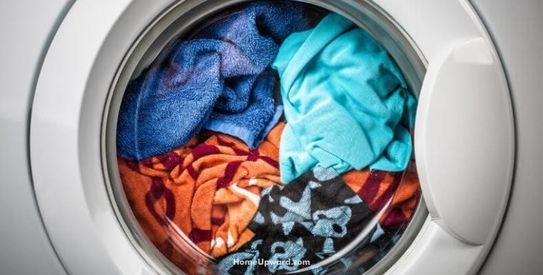 what kind of bacteria and germs can be in a dirty washing machine