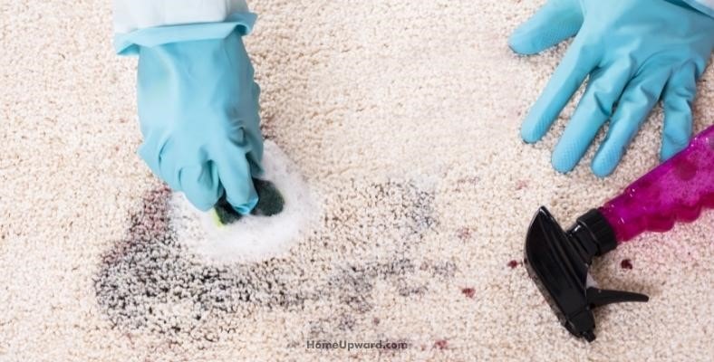 will a carpet cleaner remove dog poop