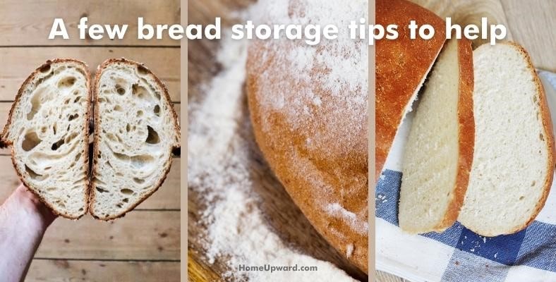 a few bread storage tips to help