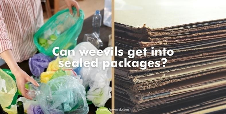 can weevils get into sealed packages
