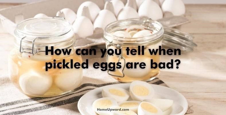 how can you tell when pickled eggs are bad