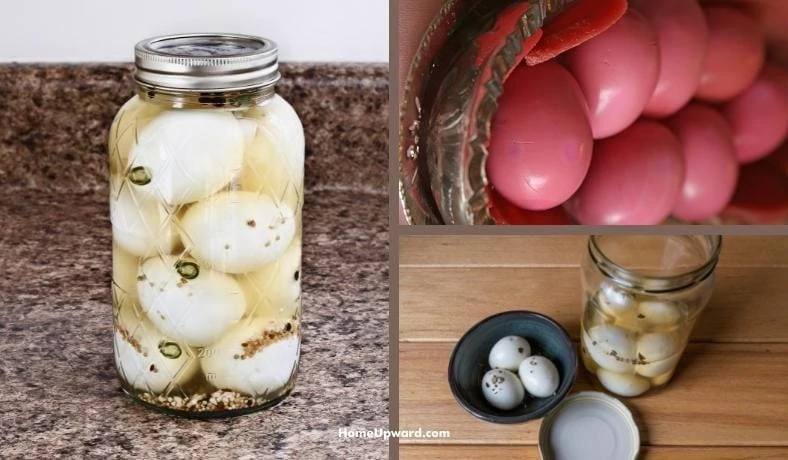 how long will pickled eggs last featured image