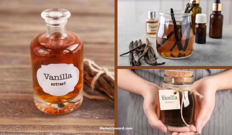 what is vanilla extract used for vanilla flavoring facts featured image