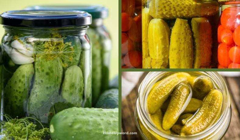 what kind of vinegar is best for pickling and pickles featured image