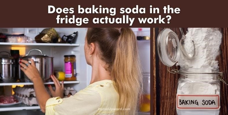 does baking soda in the fridge actually work