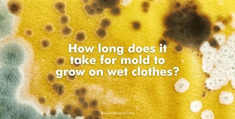 how long does it take for mold to grow on wet clothes