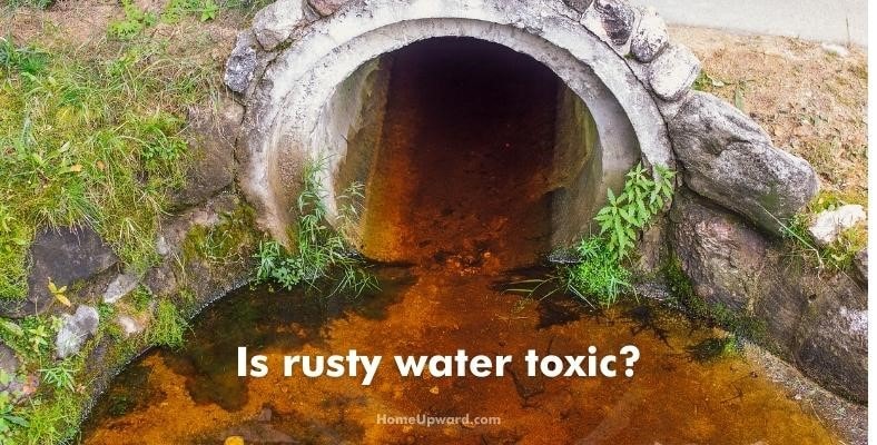 is rusty water toxic