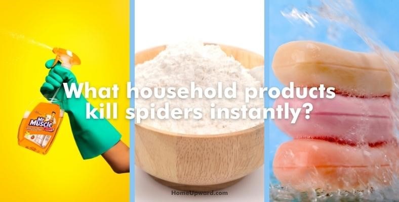 what household products kill spiders instantly