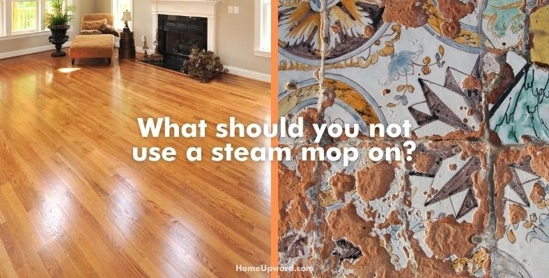 what should you not use a steam mop on?