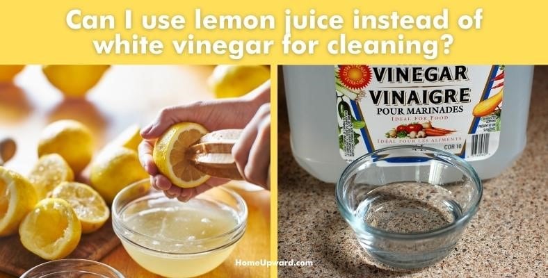 can i use lemon juice instead of white vinegar for cleaning