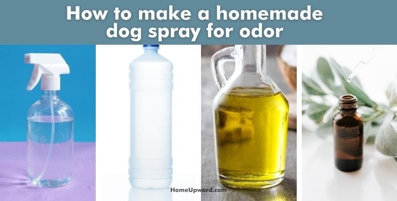 how to make a homemade dog spray for odor