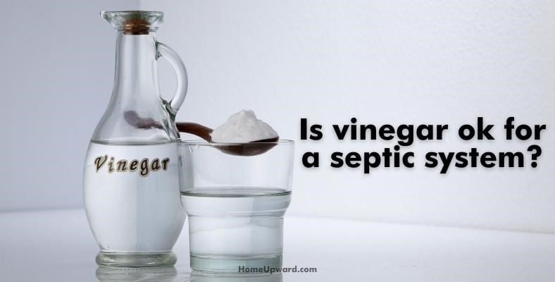 is vinegar ok for a septic system